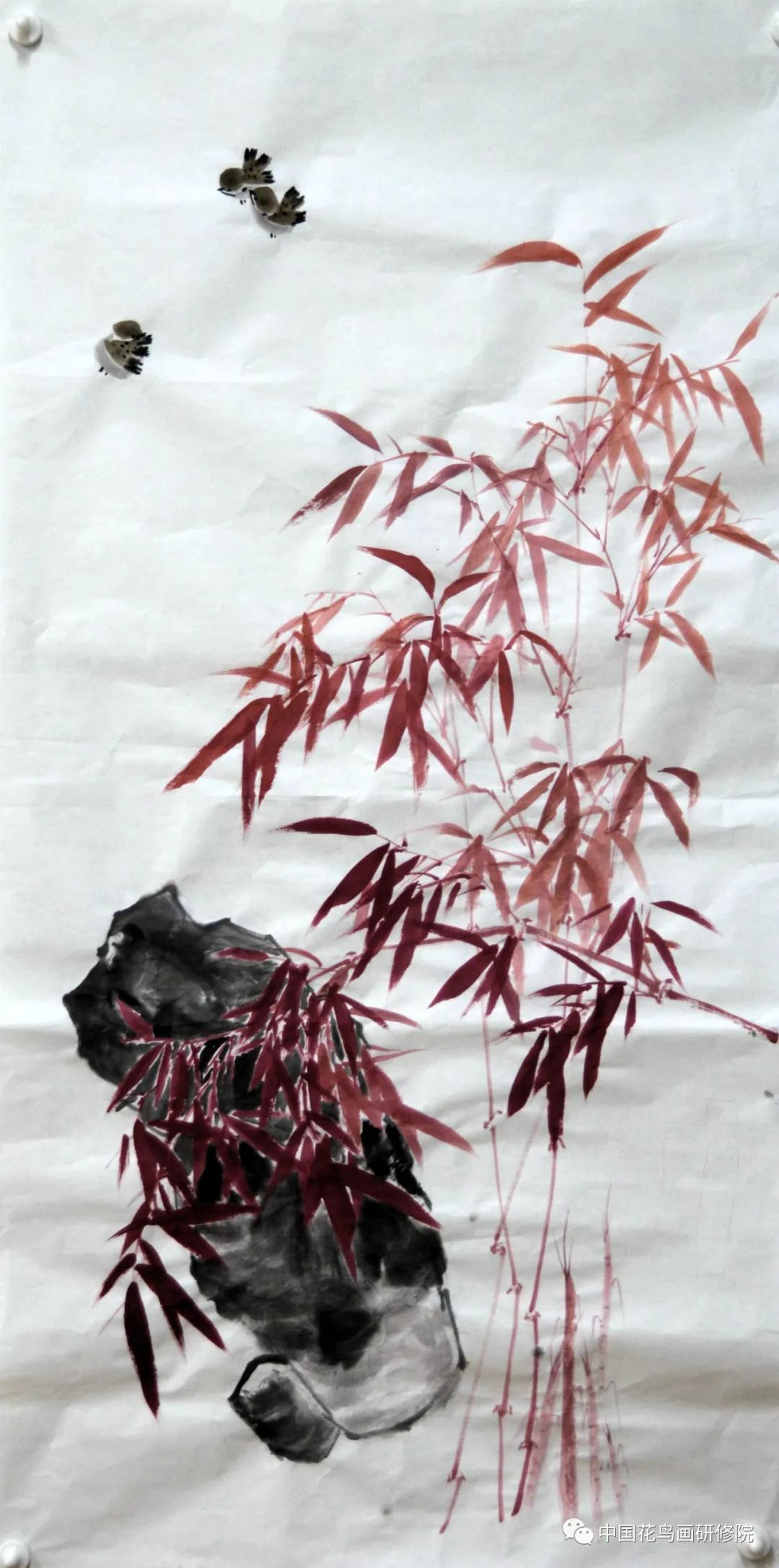 林中高于王中王，解读生肖之魅力，解读生肖魅力，超越王者的林中生肖传奇