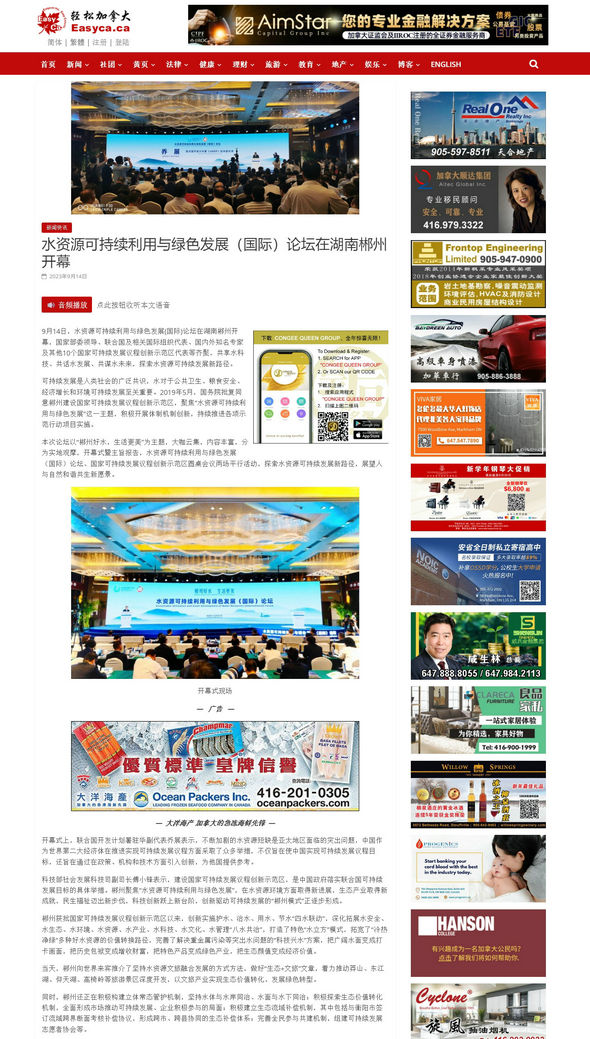 国内论坛网站概述,国内论坛网站概览