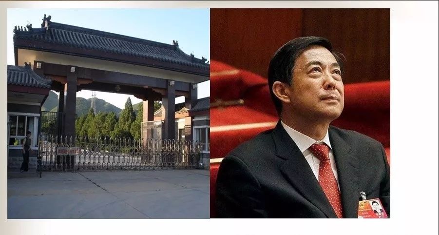 中国官宣东风-61，揭示强大实力与未来展望，中国官宣东风-61，揭示强大战略威慑力与未来军事展望