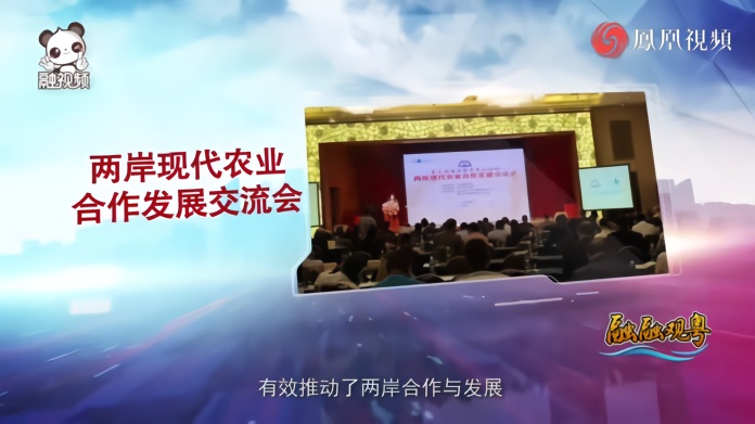 海峡两岸，今日之声，共同奏响和谐旋律，海峡两岸共融之声，和谐旋律的交响