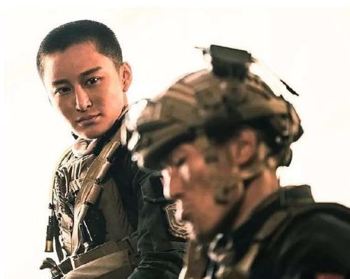 中国特种部队蛟龙突击队,精锐之师的荣耀与使命,中国特种部队蛟龙突击队,荣耀与使命的精锐之旅