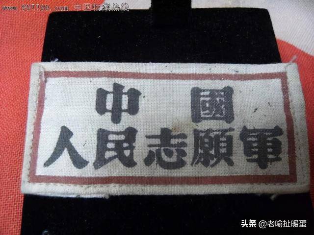 中国人民志愿军的独特别称,钢铁长城与和平之盾,中国人民志愿军,钢铁长城,和平之盾的独特色彩