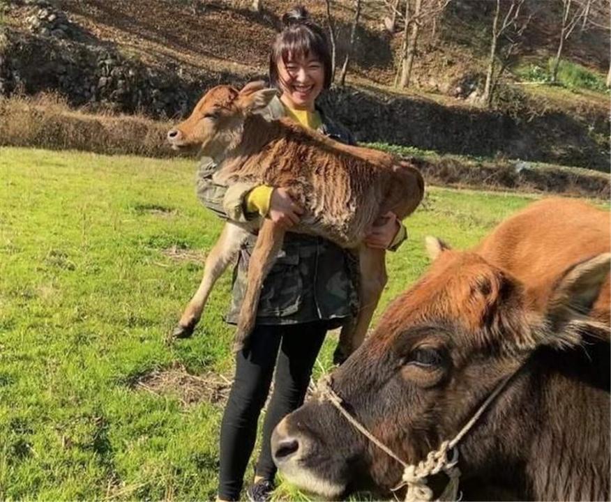 世界十大重型牛品种,特点、起源与应用,世界十大重型牛品种,特点、起源与应用详解