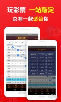 王中王与肖中的辉煌篇章——2019年的风云际会,王中王与肖中的风云际会,2019年辉煌篇章
