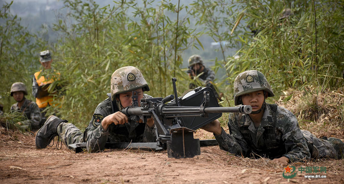 军改后一个合成旅的标准配置,军改后合成旅标准配置揭秘