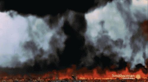 禁止化学武器组织的最高使命与责任,禁止化学武器组织的最高使命与责任解析