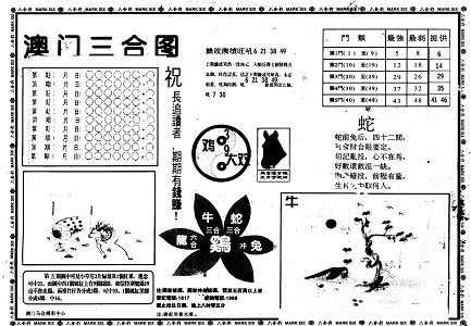揭秘王中王与肖中特，探寻玄机背后的故事，揭秘王中王与肖中特，探寻背后的玄机与故事