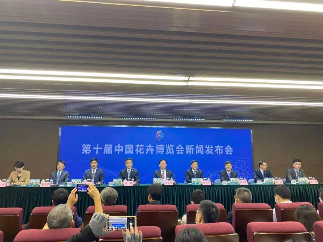 新闻发布会回应公众关心内容，透明度与公众信任的桥梁，新闻发布会，搭建透明度桥梁，回应公众关切，增强公众信任