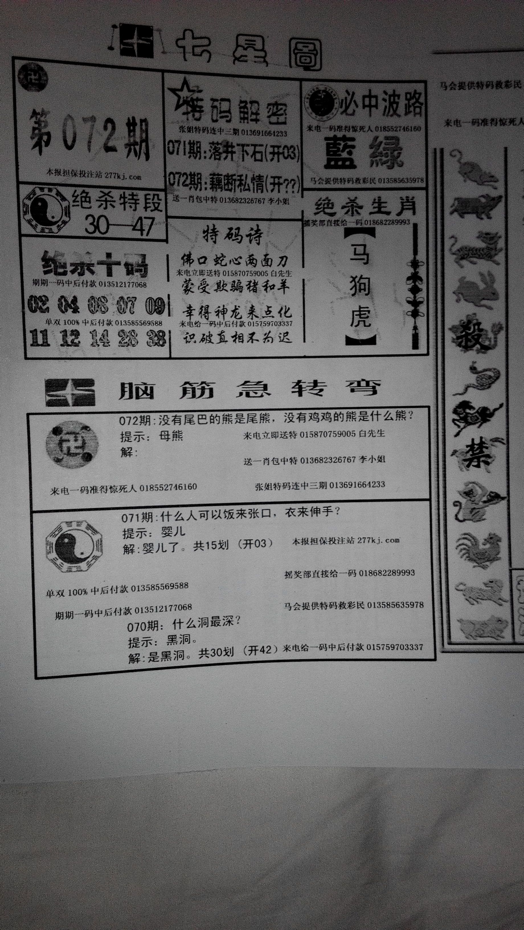王中王4期指一生肖，探寻背后的神秘与魅力，王中王4期生肖探寻背后的神秘魅力