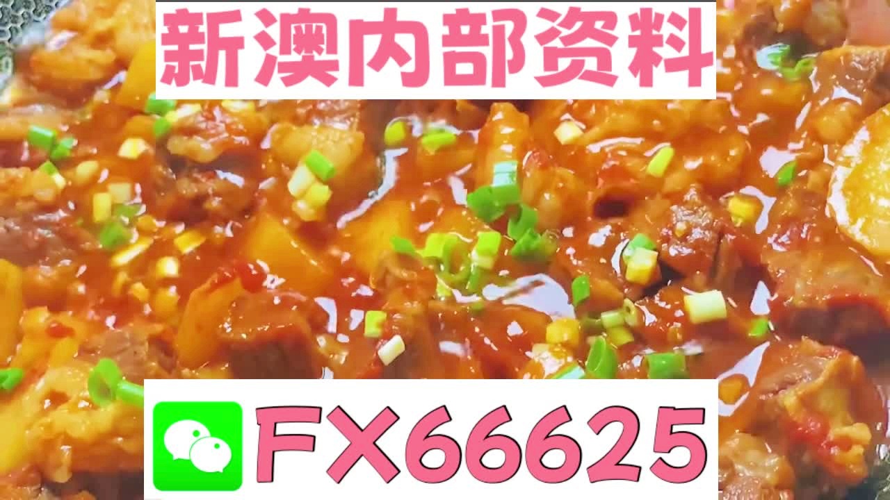 新澳门免费资料大全在线查看，探索与体验，澳门免费资料在线探索与体验大全