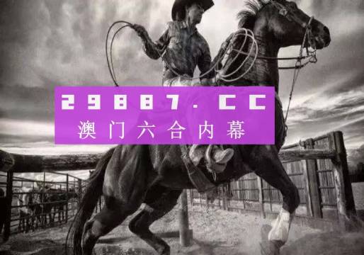 澳门正版精准免费大全，探索与解析，澳门正版精准资料大全，探索与深度解析