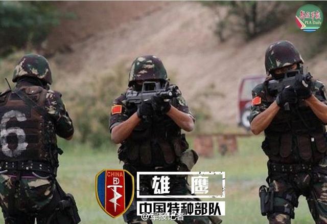 中国特种部队排名前十名，精英中的精英，中国特种部队排名前十名，精英中的精英揭秘