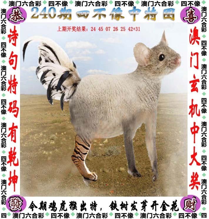 澳门精准四不像，探索与解析（2025展望），澳门精准四不像解析与未来展望（2025年展望）
