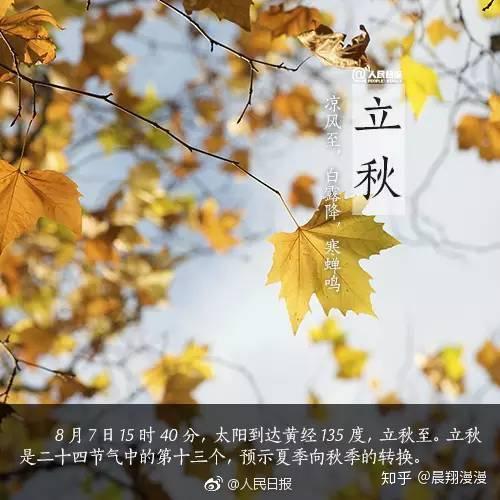 今日立秋，时光流转中的季节更迭，立秋时节，季节更迭的时光流转