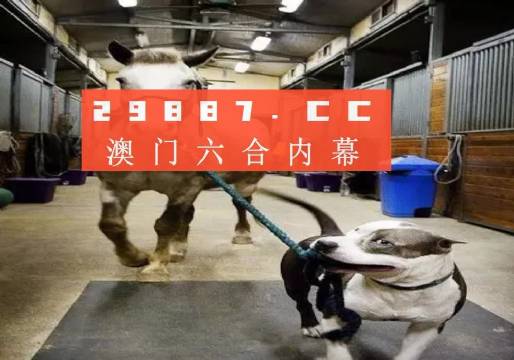 澳门今晚运势