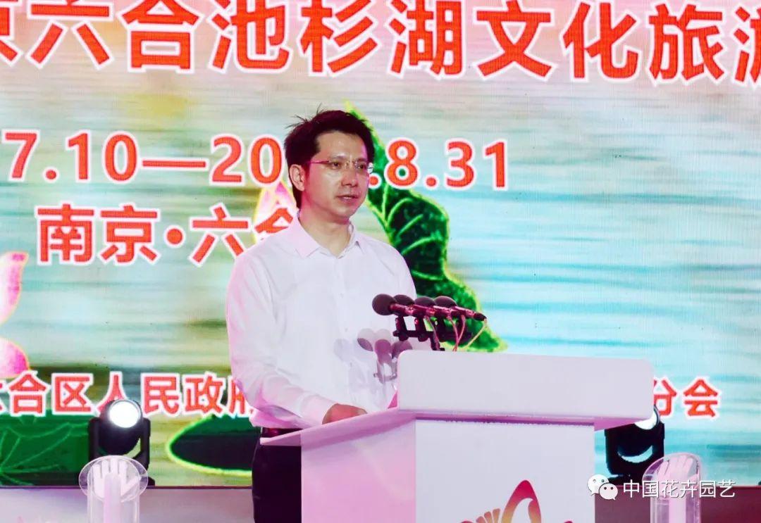 澳门六和开奖结果网站，探索与解析，澳门六和开奖结果网站解析与探索