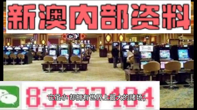 新澳精准正版资料免费，探索与启示，新澳正版资料免费探索，启示与攻略