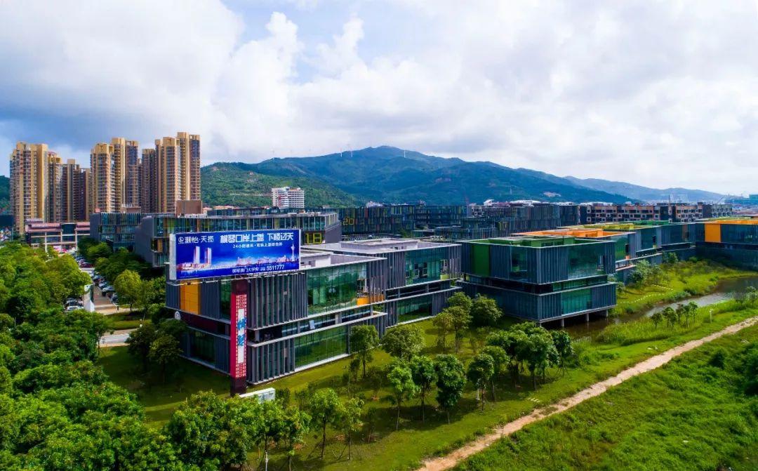 新澳门最精准——探索精准预测的魅力与力量，新澳门精准预测，探索魅力与力量的奥秘
