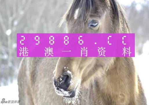 澳门一肖一码与考研，探索准确预测与学术追求的双线旅程，澳门一肖一码与考研，预测与学术追求的并行旅程探索