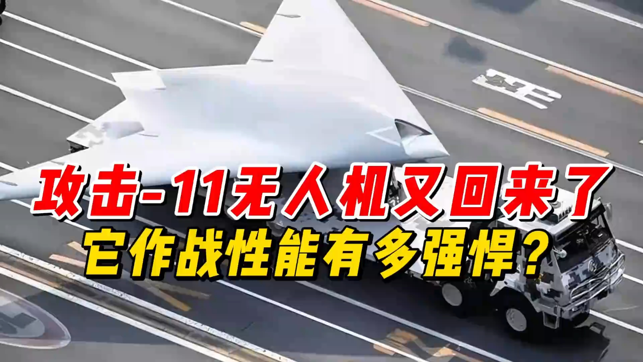 探究A-10攻击机中队编程飞机的性能，A-10攻击机中队编程飞机性能深度解析