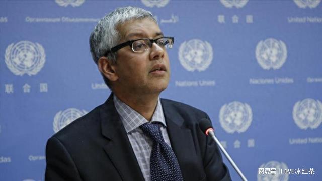 台湾政策议案会最新消息深度解析，台湾政策议案会最新消息深度解读与分析
