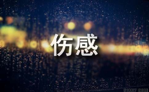 高清图片中的伤感世界，高清图片揭示的伤感世界