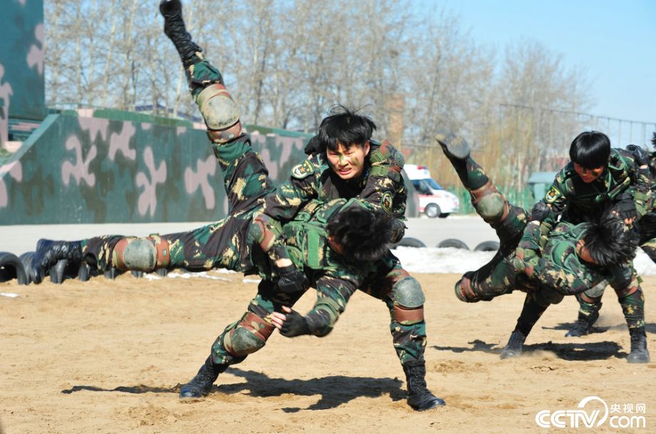 中国女特种兵格斗视频，展现力量与荣耀，中国女特种兵格斗展现力量与荣耀时刻