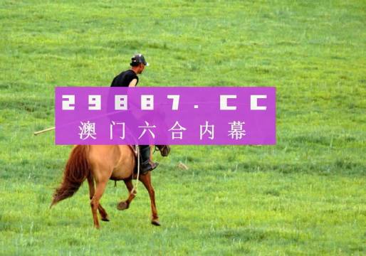 澳门精准的一肖一码资料，探索与解析，澳门精准一肖一码资料解析探索