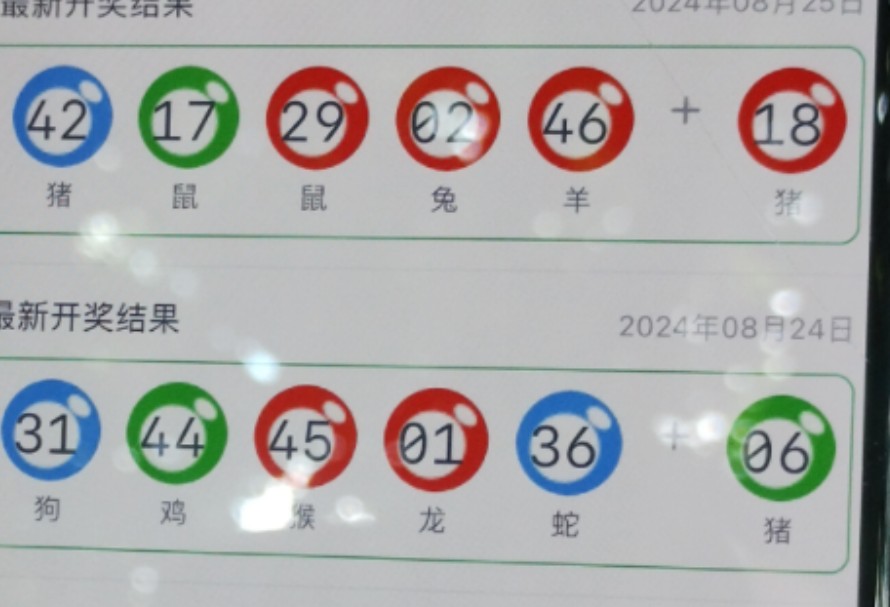 新奥门一肖一码，探索与解读，新奥门一肖一码，深度探索与解读