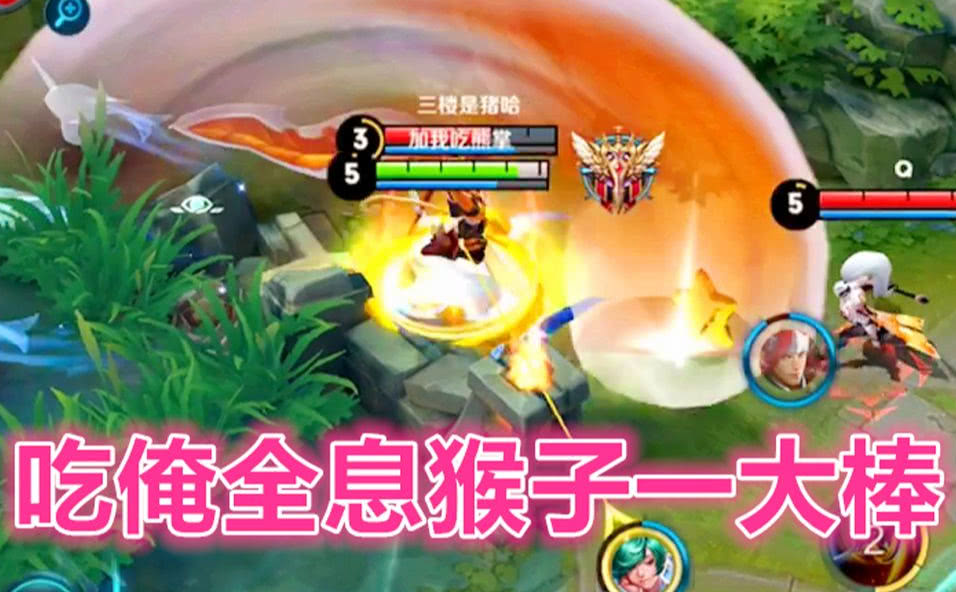 林中之王王中王——揭秘生肖之王的神秘面纱，揭秘生肖之王，森林霸主背后的神秘面纱