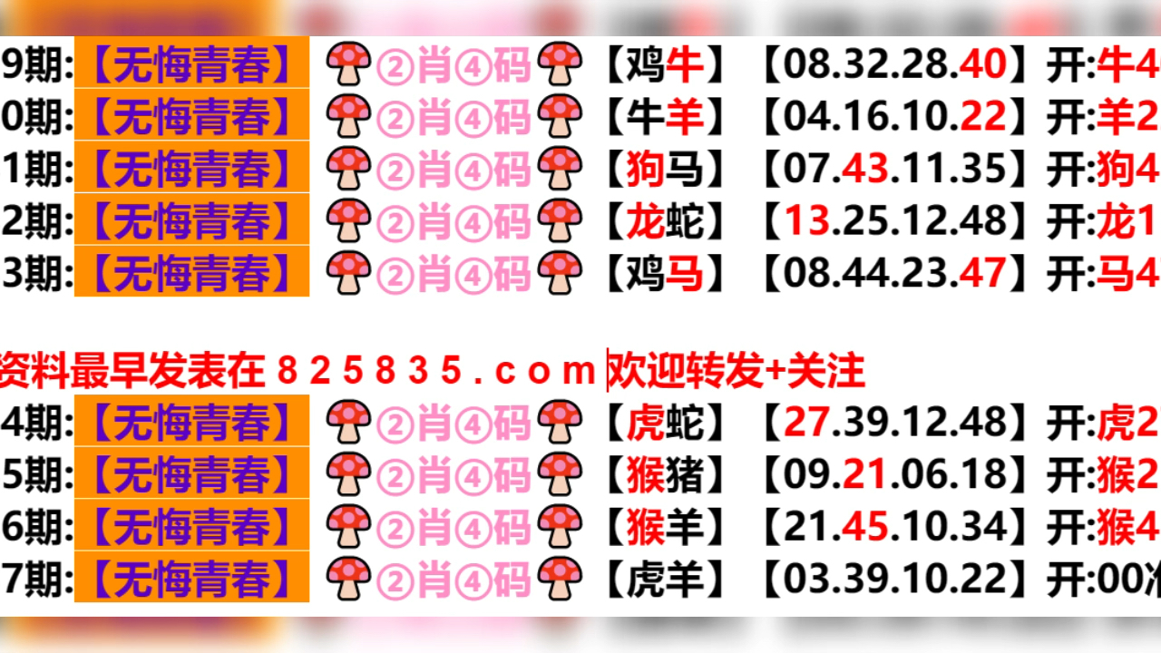 新奥新澳门六开奖结果，探索与解析，新奥新澳门六开奖结果深度解析与探索