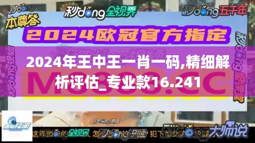 香港王中王一肖主码，探索与解析，香港王中王一肖主码，深度探索与解析