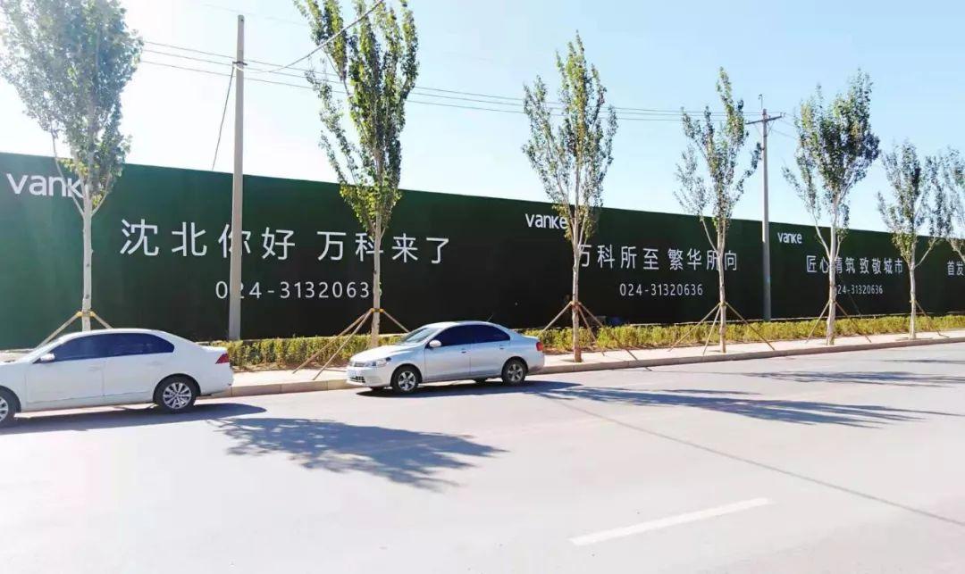 四肖一码王中王2020，揭秘与探索，四肖一码王中王2020，揭秘与探索的神秘面纱