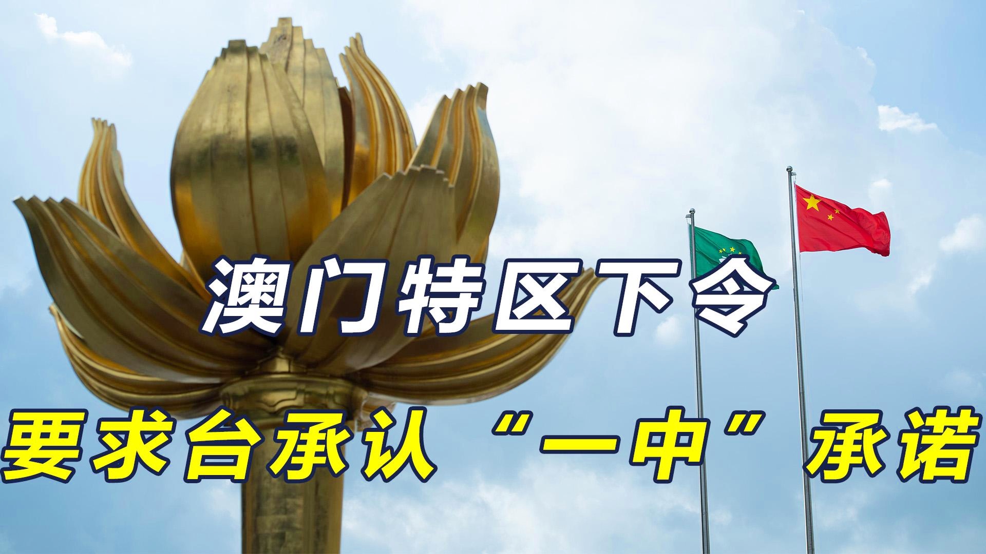 新澳门一肖一特一中，文化、发展与展望，澳门文化特色与发展展望，一肖一特一中探究
