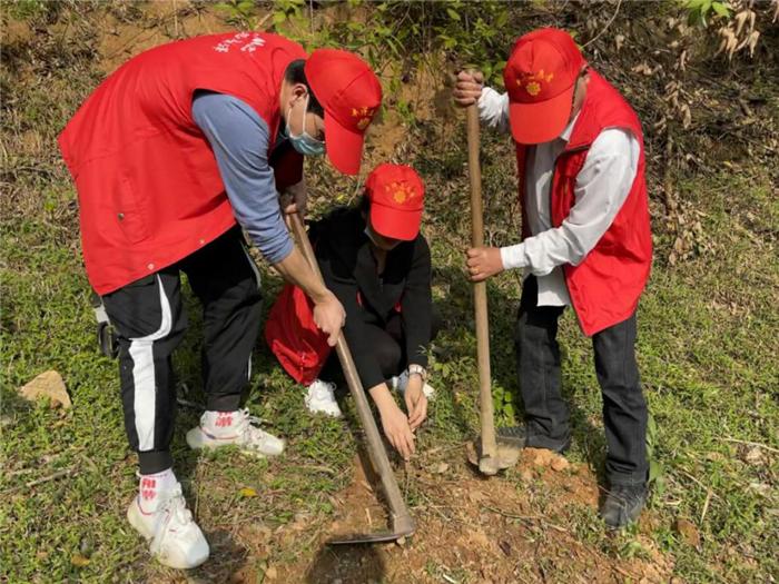 泉州丰泽，历史与现代的交融之美，泉州丰泽，历史与现代的交融魅力