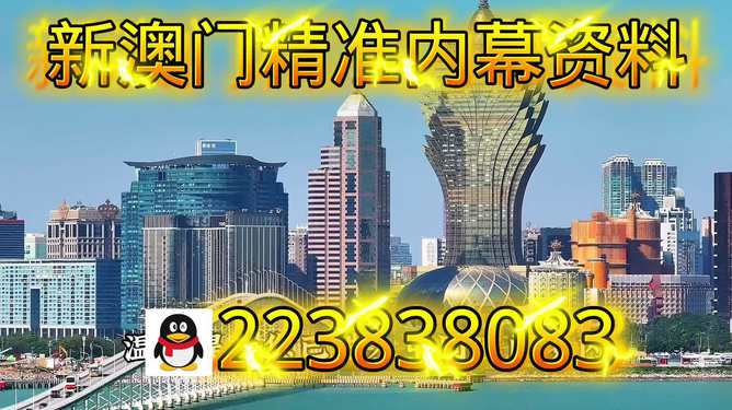 澳门彩票的奥秘与探索，解读新澳门开奖结果中的数字77777与88888，澳门彩票数字奥秘揭秘，解读特殊号码77777与88888的奥秘与探索