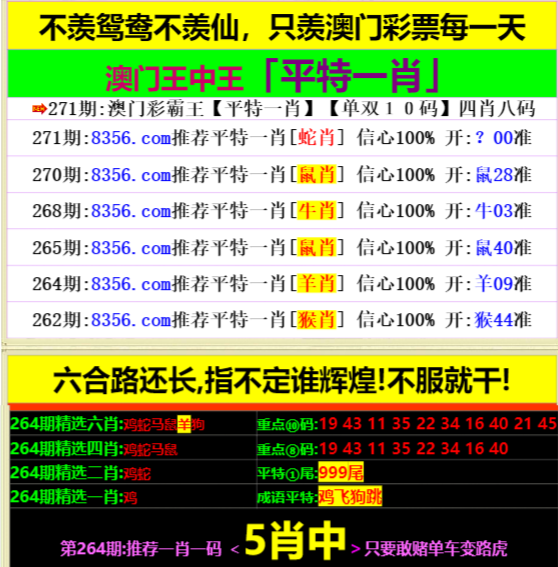 王中王心水一肖中特天，探寻命运之轮背后的奥秘，探寻命运之轮背后的奥秘，王中王心水一肖中特天解析