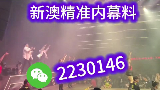 2025新澳精准资料大全