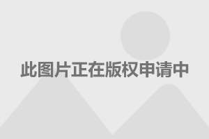 直-18的发动机，动力之心脏的研究与探讨，直-18发动机，动力核心的研究与探讨