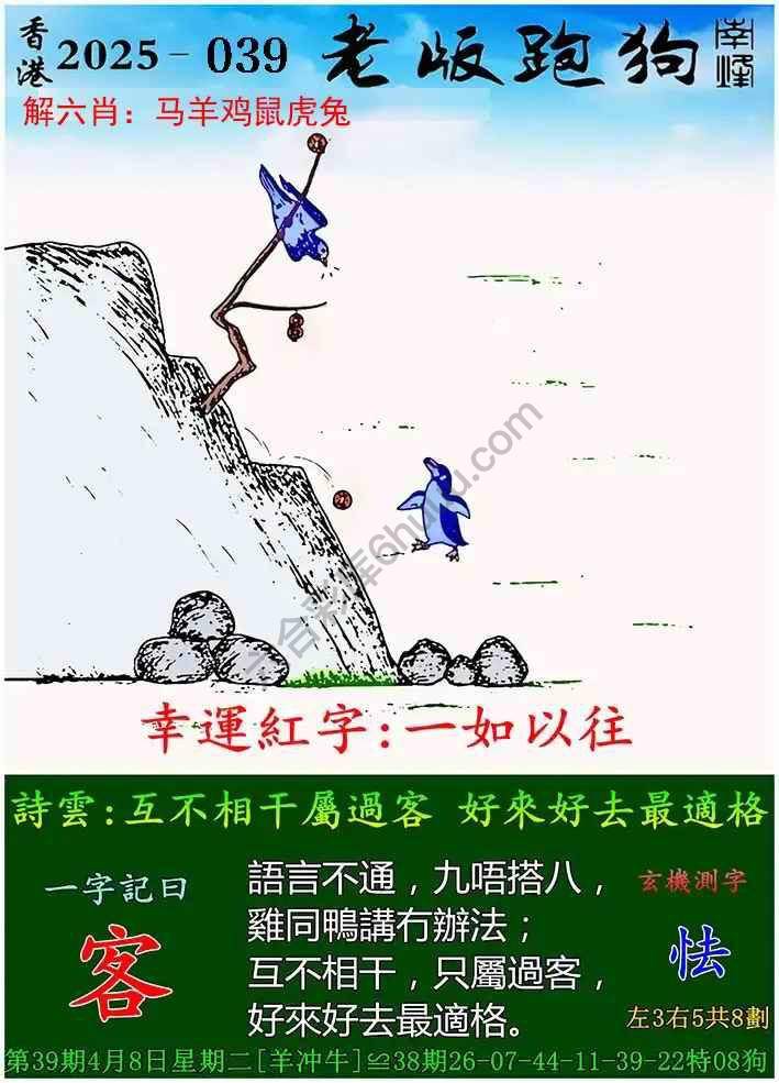 探索新版跑狗图，77777与88888的魅力交织，新版跑狗图揭秘，77777与88888的魅力交织探索