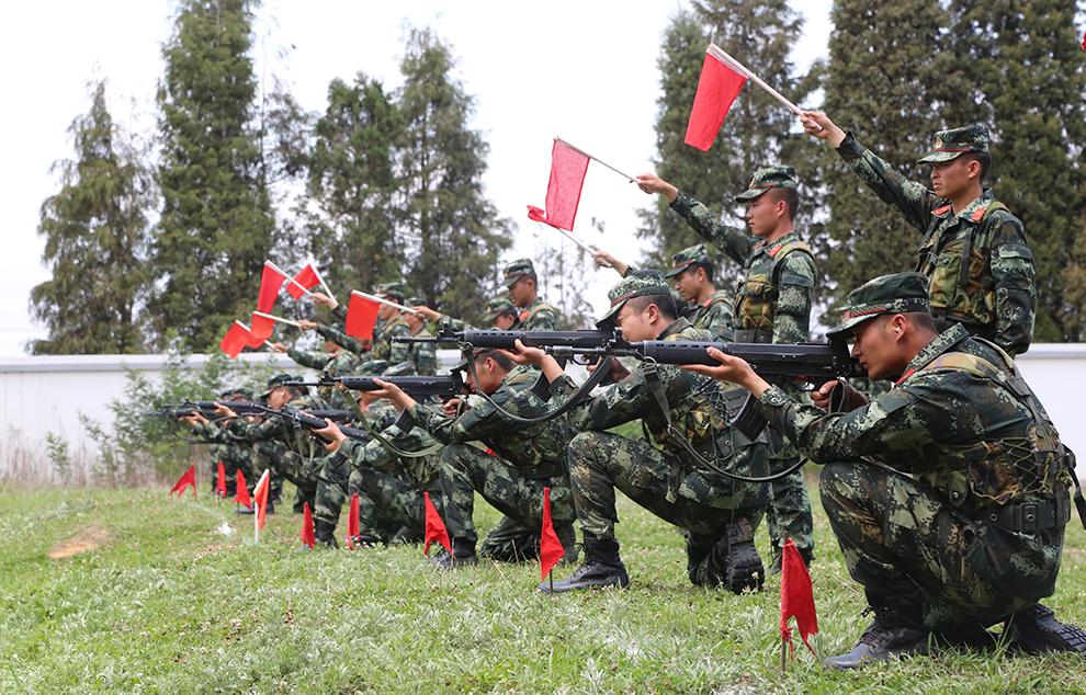 三军仪仗队标兵就位，荣耀与责任的象征，三军仪仗队标兵就位，荣耀与责任的交汇