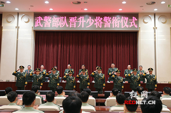 省武警总队司令员级别详解，省武警总队司令员的级别详解