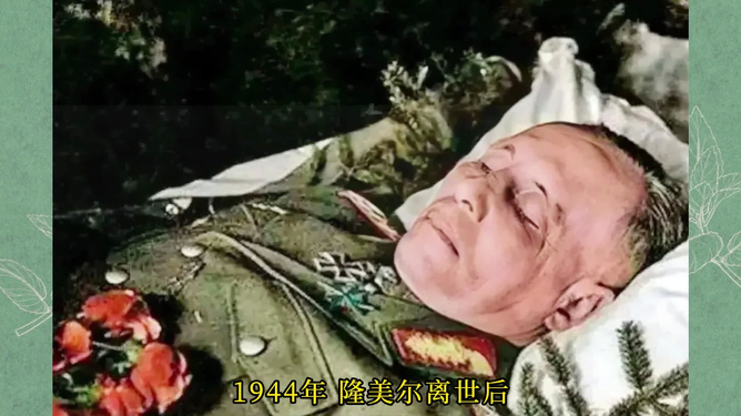 隆美尔军服，揭示背后故事与象征意义，隆美尔军服，背后的故事与象征意义揭秘