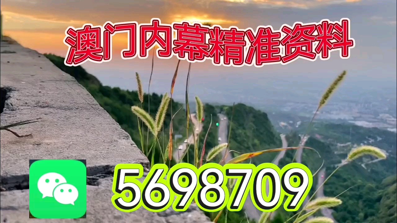新澳天天开彩资料大全——彩票玩家的必备指南，新澳天天开彩资料大全，彩票玩家的全方位指南