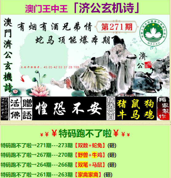 探究王中王与肖中特，一个独特的融合与超越，王中王与肖中特，独特融合与超越探究