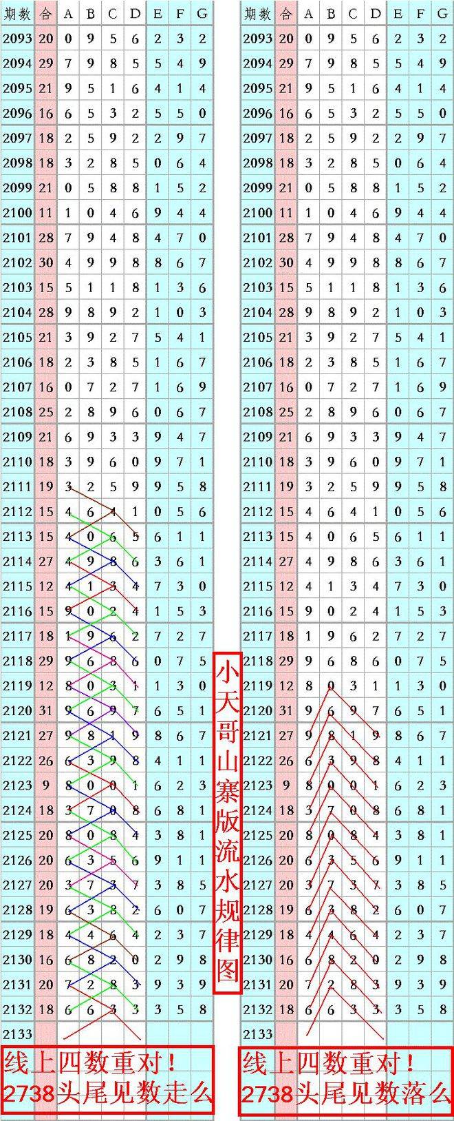 王中王平肖一特彩涂，探索多元领域的杰出成就，王中王平肖一特彩涂，多元领域的杰出探索与成就