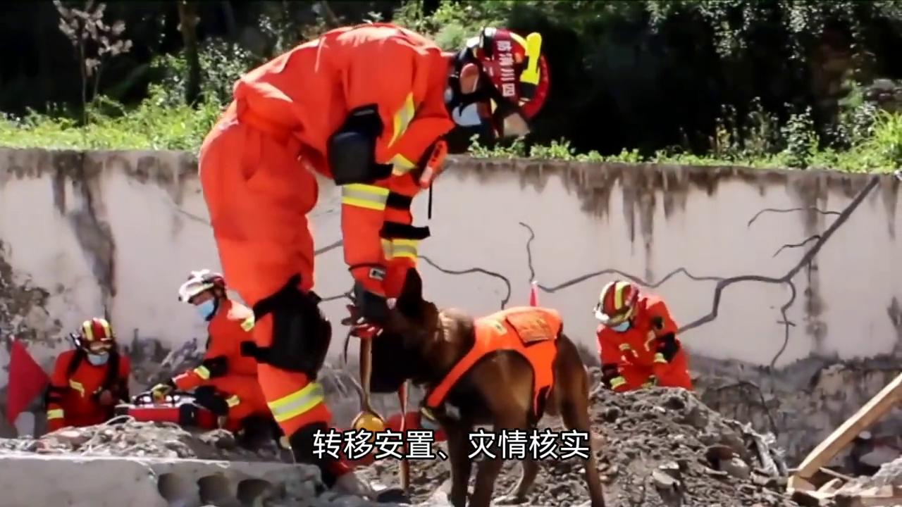 积石山地震最新消息全面解析，积石山地震最新动态全面解析