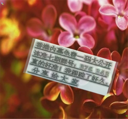 王中王六肖必中一期，揭秘精准预测的魅力，揭秘王中王六肖精准预测的魅力，一期必中传奇！