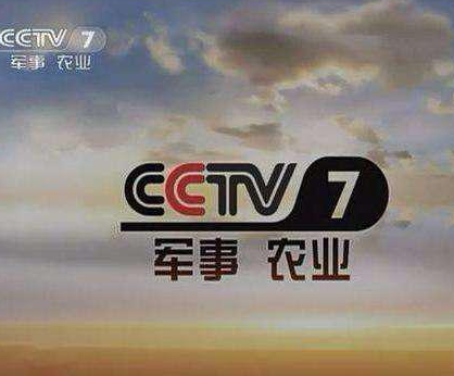 CCTV7军事农业频道在2020年的表现与影响，CCTV7军事农业频道2020年表现及其影响分析