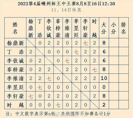 王中王一肖三码资料解析与应用，王中王一肖三码资料深度解析与应用指南